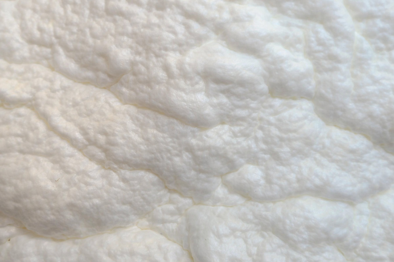 Open-cell foam insulation in Summerville, SC